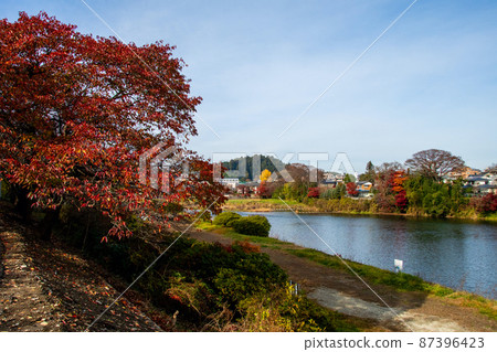 City of Trees Sendai Late Autumn Hirose River Matsugenji Fuchi Autumn Leaves on Both Banks City of Trees Sendai Late Autumn Hirose River Matsugenji Fuchi Autumn Leaves on Both Banks 87396423