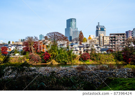 City of Trees Sendai Late Autumn Hirosegawa Autumn Leaves and Cityscape on the Opposite Bank of Atago Ryokuchi City of Trees Sendai Late Autumn Hirosegawa Autumn Leaves and Cityscape on the Opposite Bank of Atago Ryokuchi 87396424
