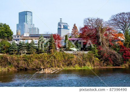City of Trees Sendai Late Autumn Hirosegawa Autumn Leaves and Cityscape on the Opposite Bank of Atago Ryokuchi City of Trees Sendai Late Autumn Hirosegawa Autumn Leaves and Cityscape on the Opposite Bank of Atago Ryokuchi 87396490