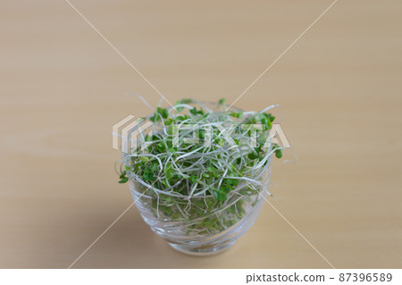 西蘭花芽（小）中心 87396589