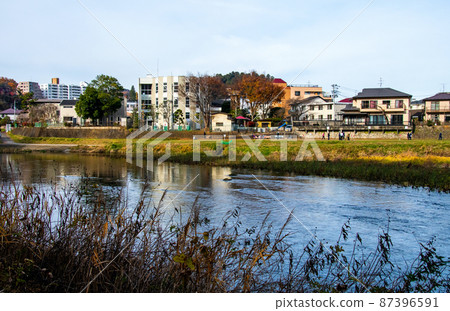 樹之城仙台晚秋廣瀨川愛宕綠地鬆源寺淵 87396591