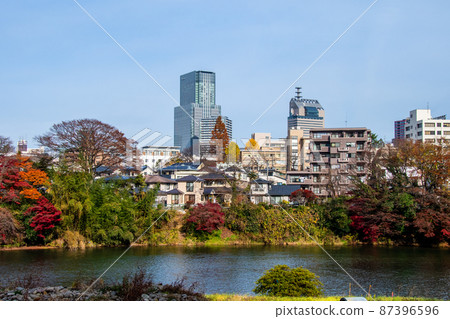 樹之城仙台晚秋廣瀨川秋葉和愛宕綠地對岸的城市景觀 87396596