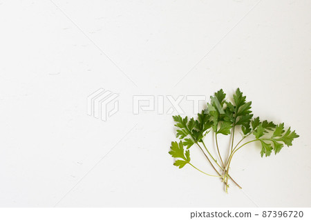 Bottom right of wormwood 87396720