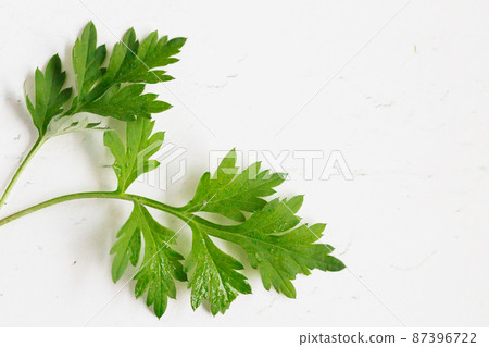 艾蒿湯 艾蒿湯 87396722