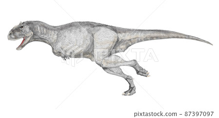 瑪君龍,白堊紀晚期馬達加斯加食物鏈頂端的食肉恐龍 瑪君龍,白堊紀晚期馬達加斯加食物鏈頂端的食肉恐龍 87397097
