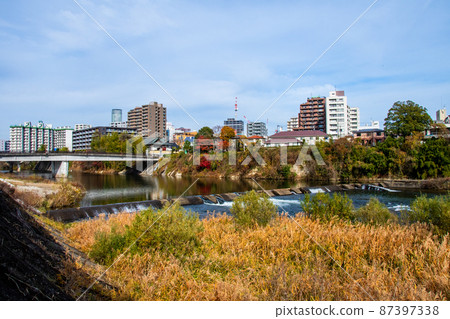 從樹之城仙台晚秋廣瀨川愛宕橋下游右岸看 87397338