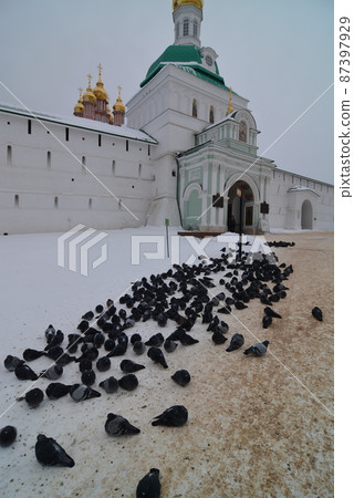 俄羅斯謝爾蓋夫波薩特 俄羅斯謝爾蓋夫波薩特 87397929