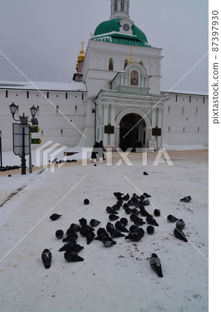 俄羅斯謝爾蓋夫波薩特 87397930
