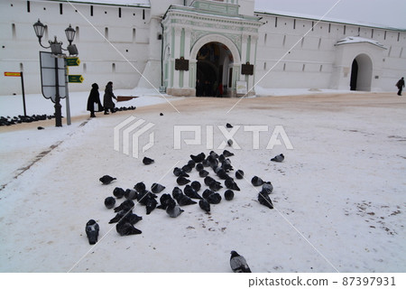 Russian Sergev Posat 87397931