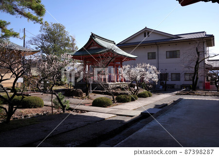 Kai Zenkoji Temple 87398287