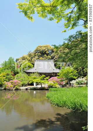 Chogakuji Temple (Free Life Pond and Main Hall) [Yanagimotocho, Tenri City, Nara Prefecture] 87398987