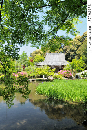 Chogakuji Temple (Free Life Pond and Main Hall) [Yanagimotocho, Tenri City, Nara Prefecture] 87398988