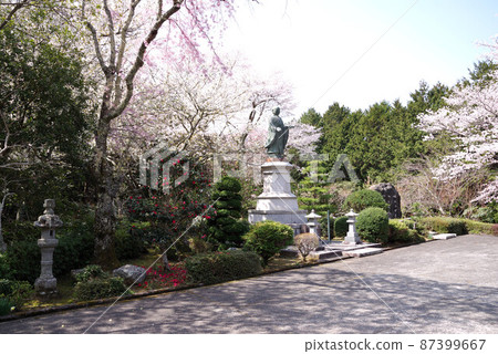 Sakura at Naisenji Temple in Yamanashi Sakura at Naisenji Temple in Yamanashi 87399667