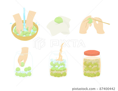 Handmade plum wine using Ome Handmade plum wine using Ome 87400442