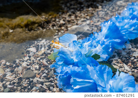 Hawaiian lei blue blue flower lei overseas travel aloha outside travel Hawaiian lei blue blue flower lei overseas travel aloha outside travel 87401291