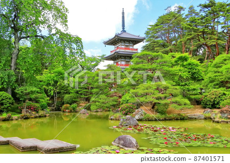 新鮮的綠色輪王寺日本花園 新鮮的綠色輪王寺日本花園 87401571