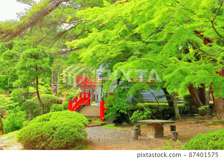 Japanese garden of fresh green 87401575
