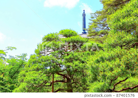 Fresh green Rinnoji Japanese garden 87401576