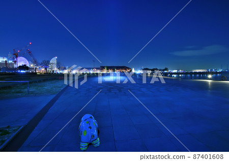 Night view of Yokohama Minatomirai seen from Elephant Nose Park Night view of Yokohama Minatomirai seen from Elephant Nose Park 87401608