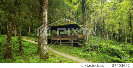 台灣，森林，明池，涼亭，台湾、森、明るい池、パビリオン、Taiwan, forest, 87403662