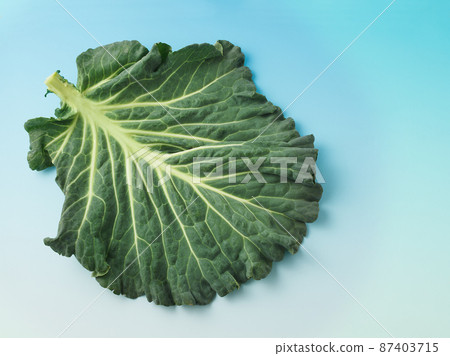 多汁羽衣甘藍 多汁羽衣甘藍 87403715