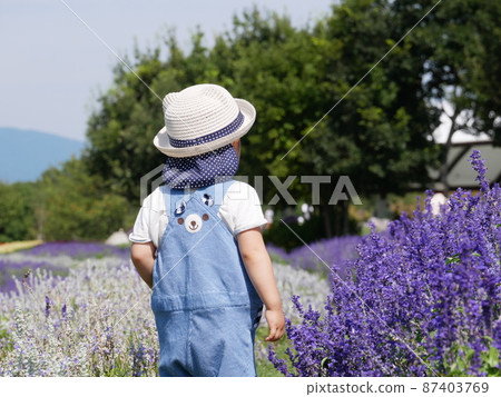 Children's Nature Park Hanahata Children's Nature Park Hanahata 87403769