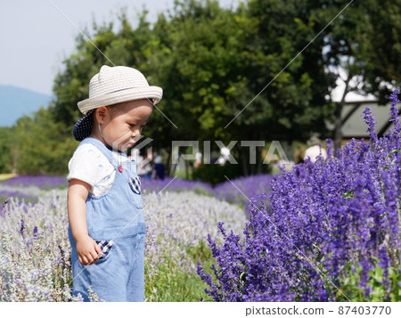 Children's park Hanahata nature Children's park Hanahata nature 87403770
