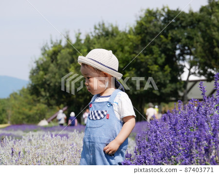 Children's park nature Children's park nature 87403771