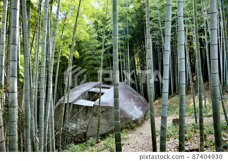 Masuda Iwafune [Kashihara City, Nara Prefecture] 87404930