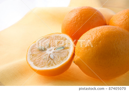 Meyer lemon Meyer lemon 87405070