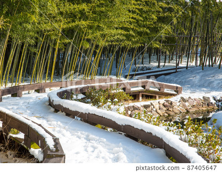 潭陽竹博物館冬景 87405647