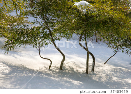 潭陽竹博物館冬景 87405659
