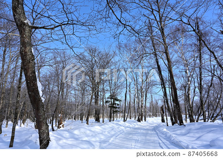雪路 87405668