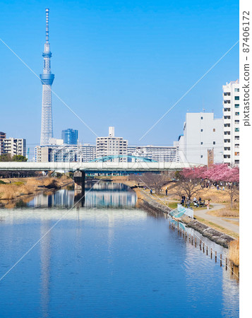 春天的久中川和天空樹 春天的久中川和天空樹 87406172