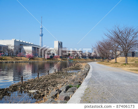 春天的久中川和天空樹 87406173
