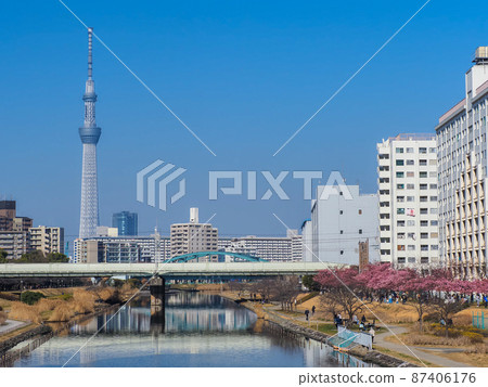 等待春天的久中川和天空樹 等待春天的久中川和天空樹 87406176