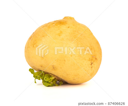 Ripe yellow turnip isolated on white background. Ripe yellow turnip isolated on white background. 87406626