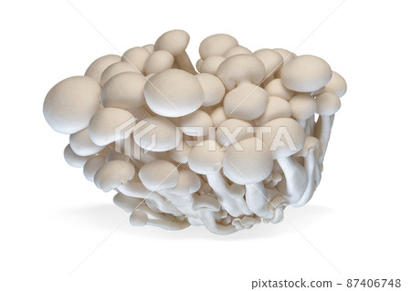 Enoki mushroom isolated on white background. Enoki mushroom isolated on white background. 87406748