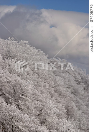 The winter The winter 87406776