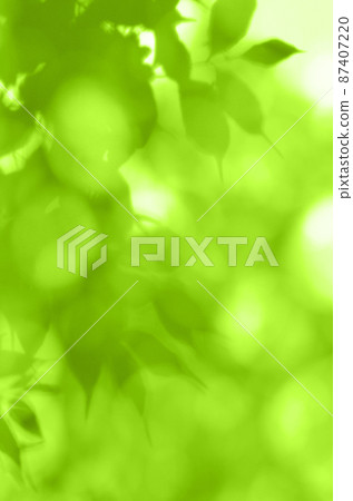 清新的綠色剪影在早春的微風中搖曳 87407220