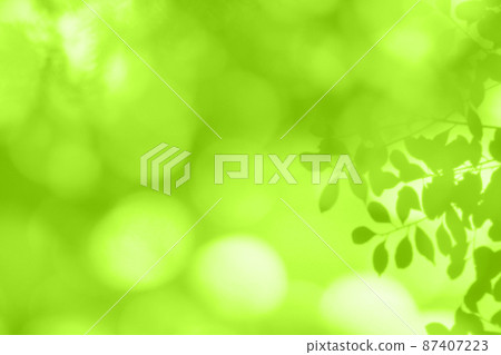 初春微風中搖曳的嫩葉剪影 87407223