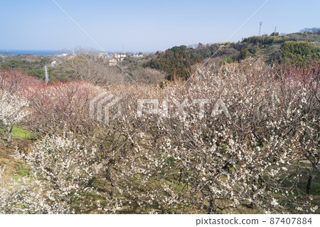Taura Plum Grove (Taura Sea Village) Taura Plum Grove (Taura Sea Village) 87407884