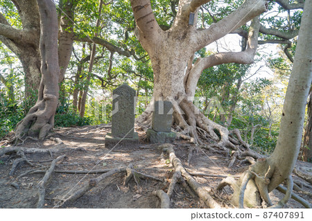 Kannonzuka (Mt. Sengen hiking course on the Miura Peninsula) 87407891