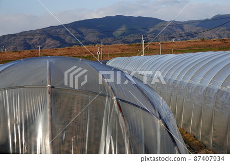 Agricultural plastic house 87407934