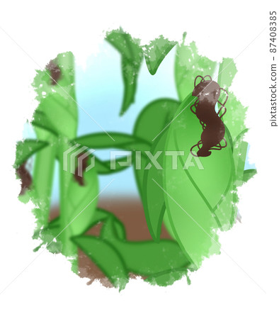 藍天下的麥田 87408385