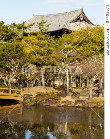 奈良公園三沙池冰景 奈良公園三沙池冰景 87408673