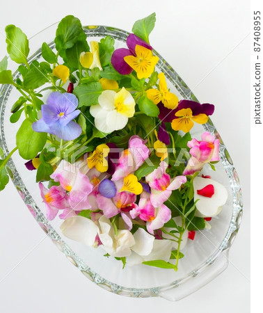 Edible flowers: our top 20 flowers you can eat - Plantura