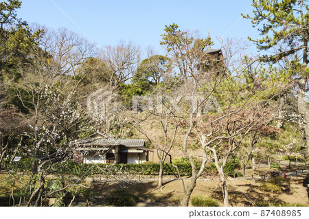 Early spring in Honmoku Sankeien, Naka-ku, Yokohama City, Kanagawa Prefecture 87408985
