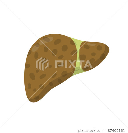 Bad liver. Medical Disease of human internal organ. 87409161