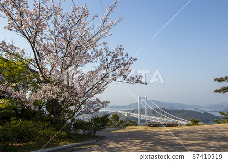 春季觀景台 87410519